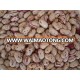 Dried Butter Beans (Lima beans),