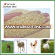 High Protein Soybean Meal for animal feeds